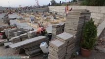 Բետոնե անապատ` կանաչի փոխարեն