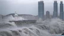 Typhoon Omais leaves behind flooded homes, damaged roads, railways in S. Korea
