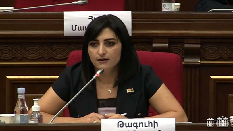 Տեսլական եք ներկայացնում, բայց մարդկանց կյանքի տարրական իրավունքի հարցը չեք կարողանում լուծել. Թովմասյանը՝ Փաշինյանին