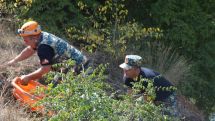 Remains of another fallen serviceman found in Artsakh search operation