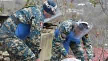 Around 130 hectares of territory have been cleared of explosives in Artsakh in the past 11 months