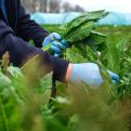 Диетологи: Белковые и сезонные продукты укрепляют иммунитет осенью