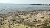 Озеро Ван под угрозой: вода отступила от берега более чем на 1 км
