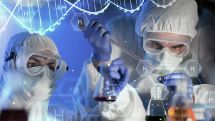 Британские ученые разработали молекулярный метод продления жизни