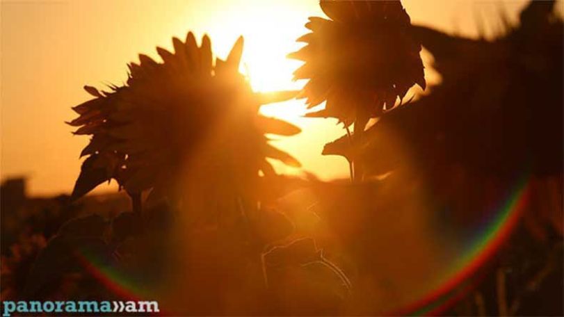 Air temperature to gradually grow on September 19-20