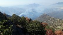 Firefighting resumes at Armenia’s Arevik National Park