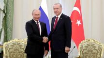Erdogan’s visit to Russia being prepared - Peskov