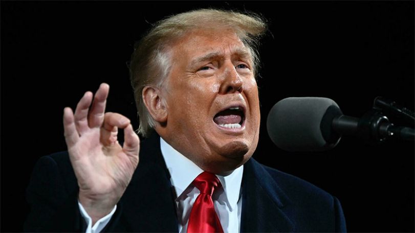 Trump sues niece, New York Times over tax story