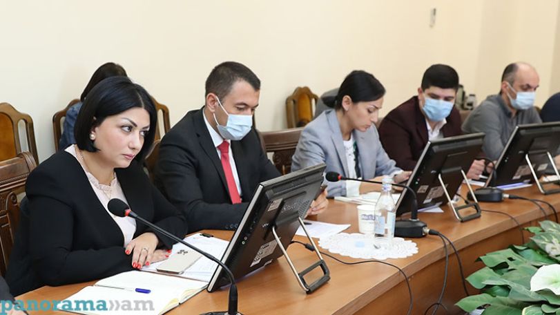 Իրավիճակը ռեալ գնահատելու ունակությունն իշխող ուժի մոտ պակասում է. Հռիփսիմե Ստամբուլյան