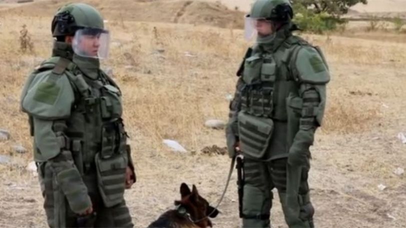 Арцах: за сутки от неразорвавшихся боеприпасов и взрывоопасных предметов очищен 1 га территории