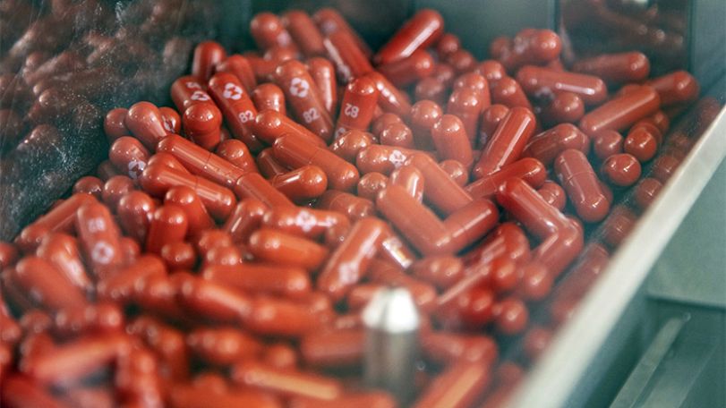 Covid antiviral pill can halve risk of hospitalisation, death