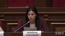 Հակամարմին ունեցողն ինչո՞ւ պիտի թեստ հանձնի կամ պատվաստվի․ Արեգնազ Մանուկյանը՝ Ավանեսյանին