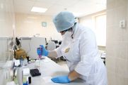 В России выявили случаи новой разновидности коронавируса AY.4.2