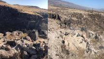 Հուշարձանի տարածքում արձանագրվել է գանձագողության և վնասման դեպք