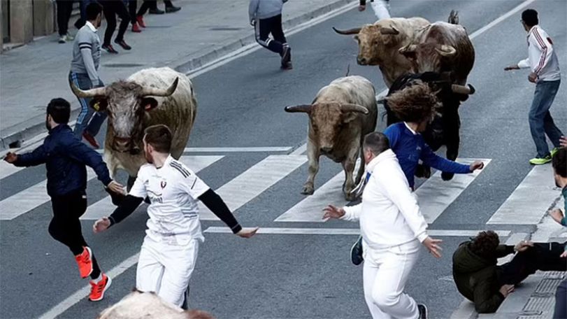Man, 55, killed after being gored by bull at annual festival in Spain