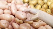 Картофель подорожал, что есть?