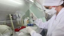 Russia reports record daily Covid-19 cases