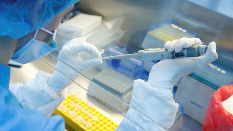 Global COVID-19 cases hit 250 million