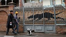 В Грузии с 1 декабря введут «Зеленые паспорта»