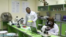Today marks the World Science Day for peace and development