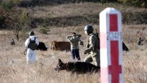 Georgian, Turkish border guards hold joint exercises