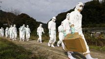 Korea reports additional highly pathogenic bird flu case