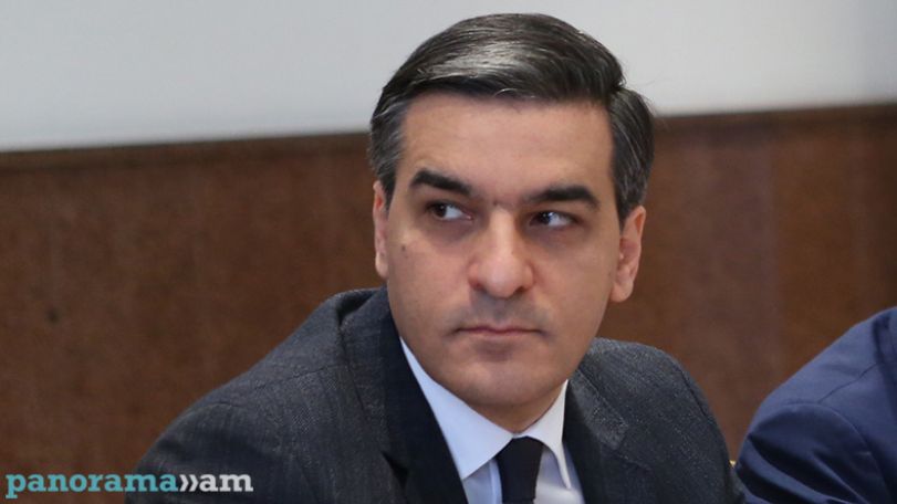 «Татоян выполняет функции и Омбудсмена, и министра диаспоры и ИД, и отсутствующего посла»