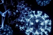 Portugal detects 13 cases of Omicron variant