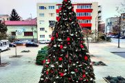 Одну из площадей в Румынии украсили экологичной рождественской елкой