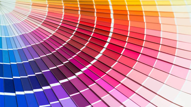Институт цвета Pantone назвал главный цвет 2022 года