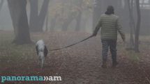 Air temperature will not change considerably in the coming days