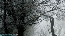 Air temperature to go down by 8-10 degrees in the coming days