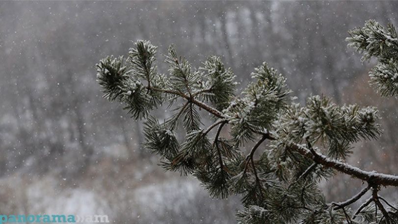 No precipitation predicted in Armenia in the coming days