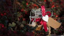 New York school bans 'Jingle Bells' due to its ‘questionable past’