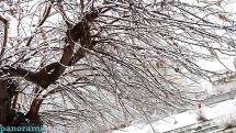Air temperature to gradually grow up by 2-4 degrees