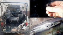 Artsakh fire engine targeted by Azerbaijani troops