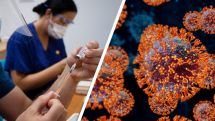 Too early to treat coronavirus as endemic, WHO warns