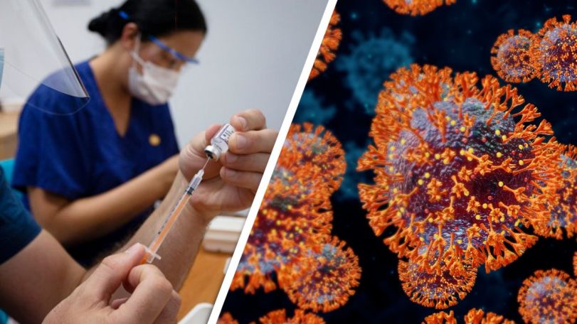 Too early to treat coronavirus as endemic, WHO warns