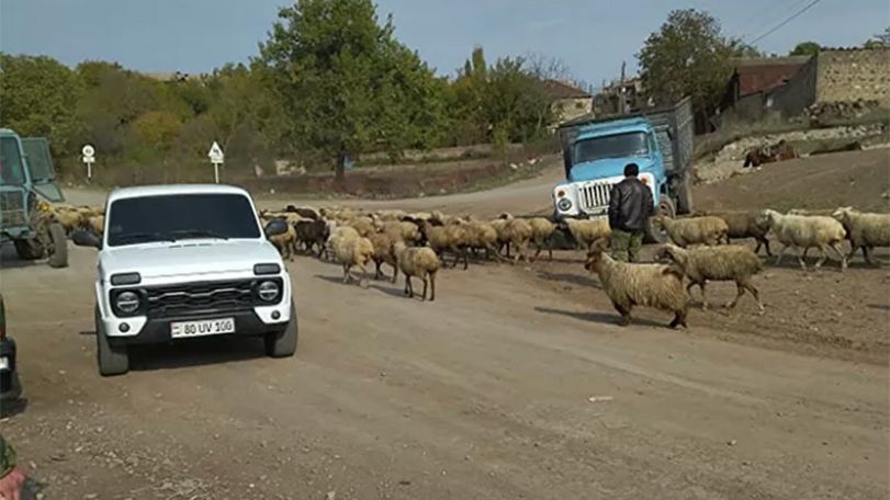 Azerbaijani forces kidnap Armenian shepherd, talks underway to free him