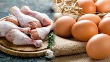 Armenia bans poultry products from Poland and Czech Republic