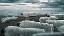 Plastic crisis needs robust UN treaty, report says