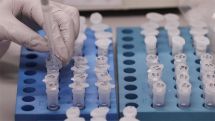 Грузия: число инфицированных коронавирусом за сутки увеличилось на 17 066