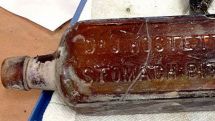 'Elixir of Long Life' recreated using 19th century recipe