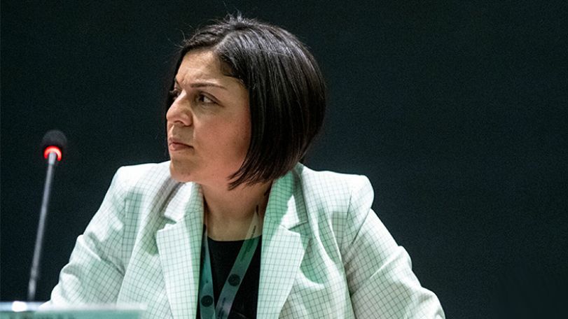 Artsakh president names new education minister