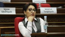 Հնարավոր է ասֆալտի գործունեությամբ զբաղվող որևէ առևտրային կազմակերպություն մտնի դպրոց. Լիլիթ Գալստյան