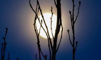 Full Snow Moon set to light up the skies around the world on Wednesday evening