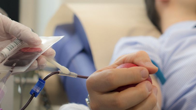 Ի աջակցություն Ուկրաինայի՝  Սամցխե-Ջավախեթիի համալսարանը արյան դոնորության ակցիա կանցկացնի