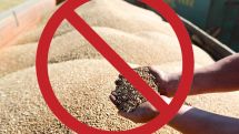 Russia to suspend grain exports to EEU until Aug. 31