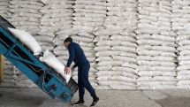 Russia temporarily bans grain, sugar exports to EAEU, third countries