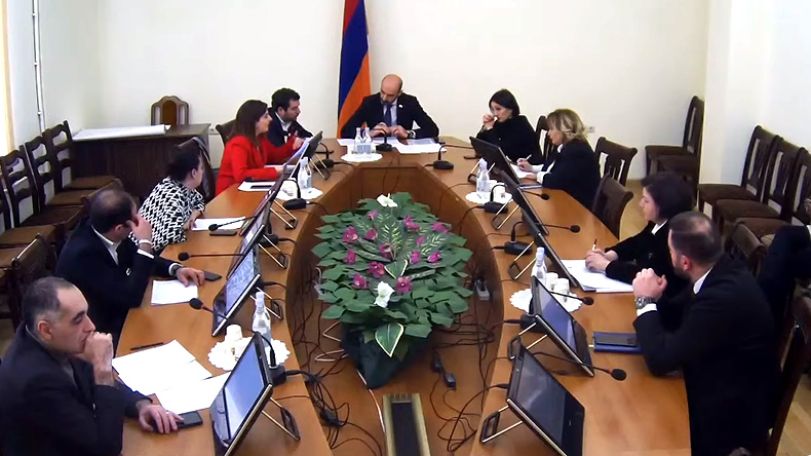 Մինչև 5 տարեկան երեխաների մահացության ցուցանիշը 2021 թ-ին նվազել է 0,5 պրոմիլով. Անահիտ Ավանեսյան
